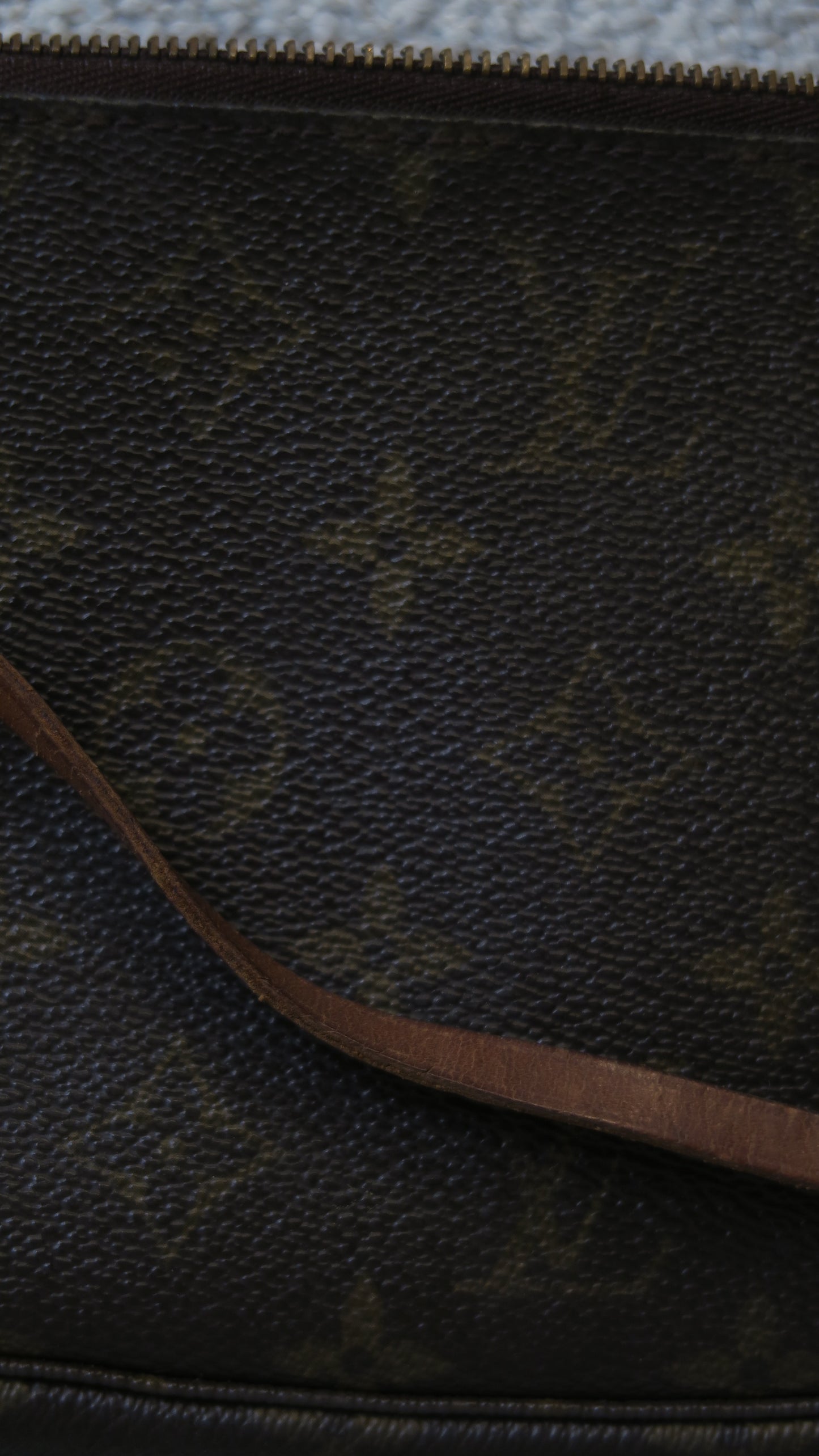 Louis Vuitton pochette accessoires